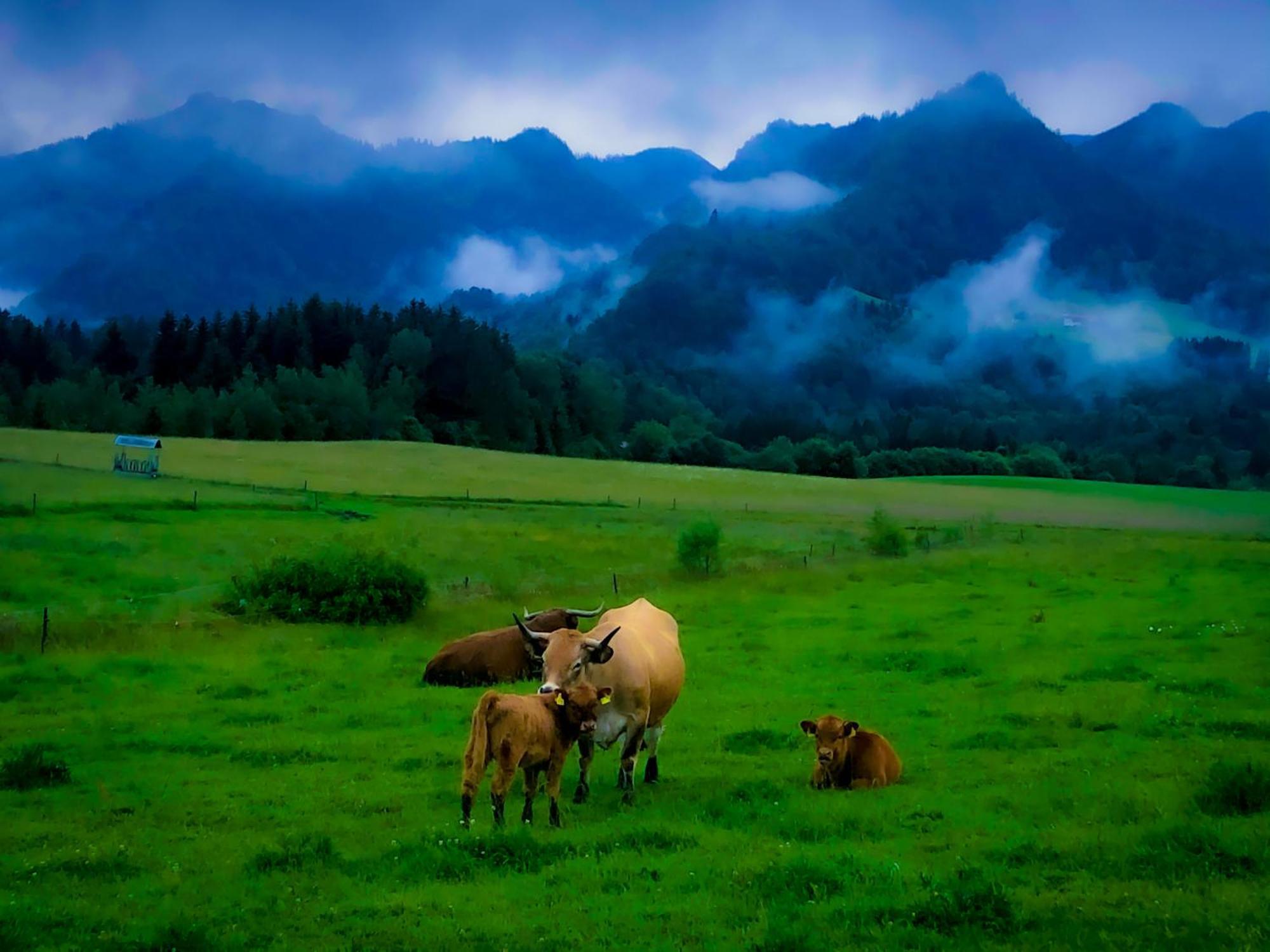 Ferienwohnungen Gastager Hof Ruhpolding Buitenkant foto